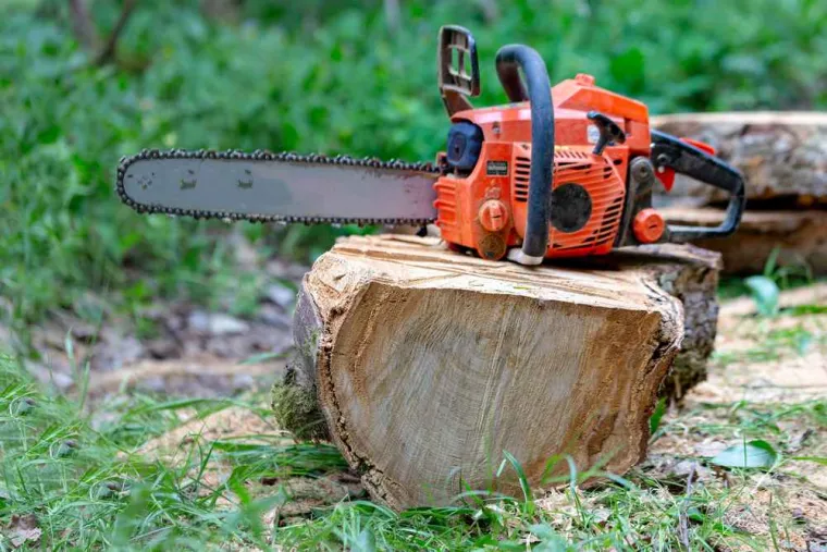 Enlever une souche d'arbre rapidement, Amiens, Deriviere multiservice