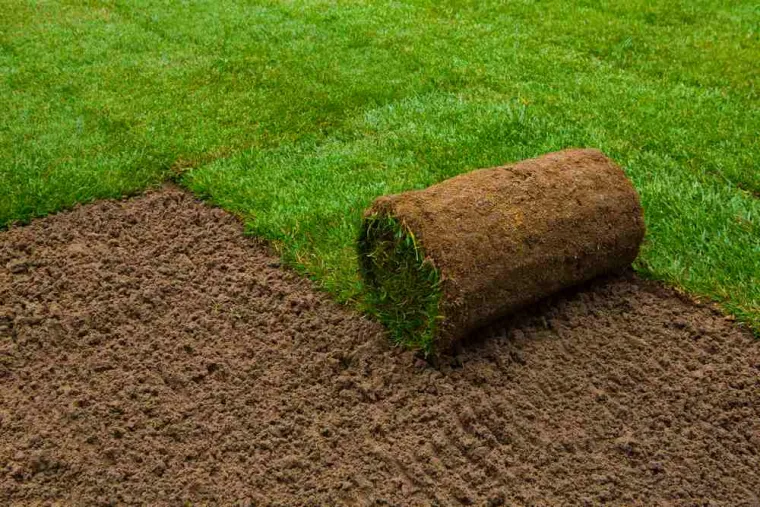 Gazon en rouleau naturel : quels avantages ?, Amiens, Deriviere multiservice