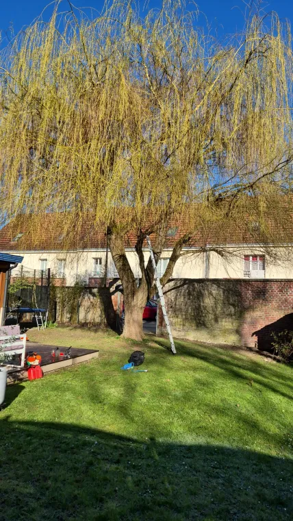 Découvrez les services de Deriviere multiservice à Amiens, Amiens, Deriviere multiservice